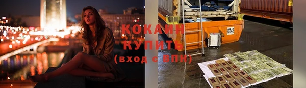 молекула духа Осинники
