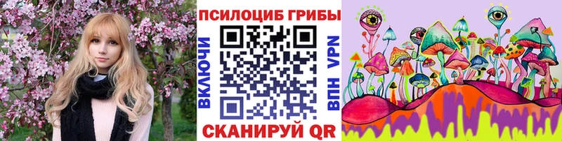 Псилоцибиновые грибы Cubensis  купить наркотики цена  Сосновка 